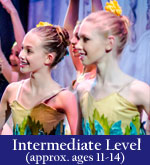 Intermediate