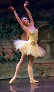 Svalander Library image